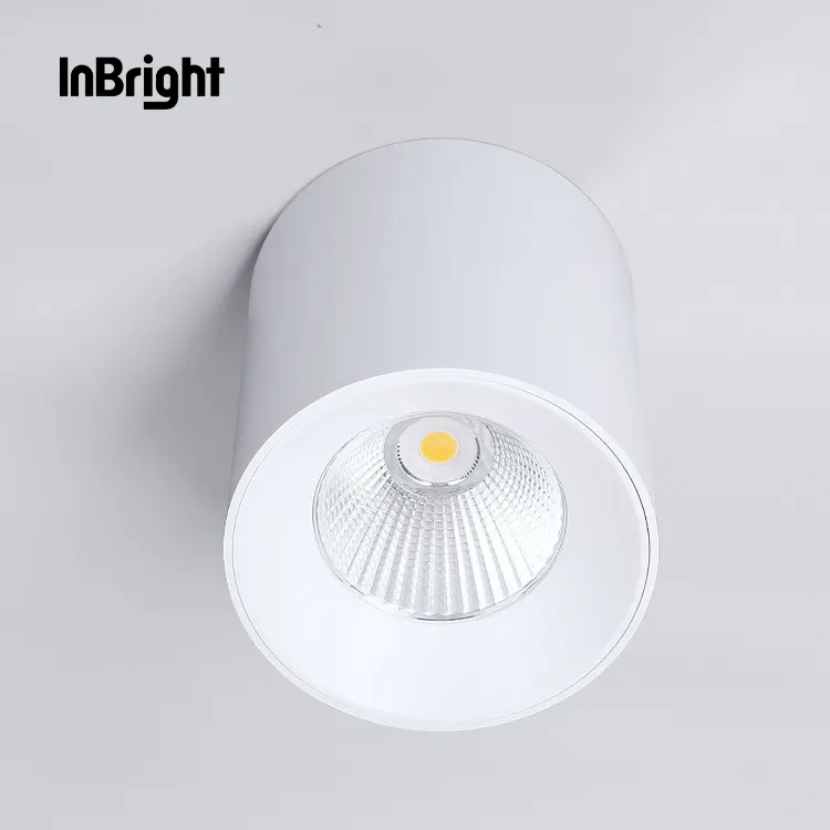 Anti-Glare Dimmable DALI Surface-Mounted COB LED Downlight Black/White 10-60W