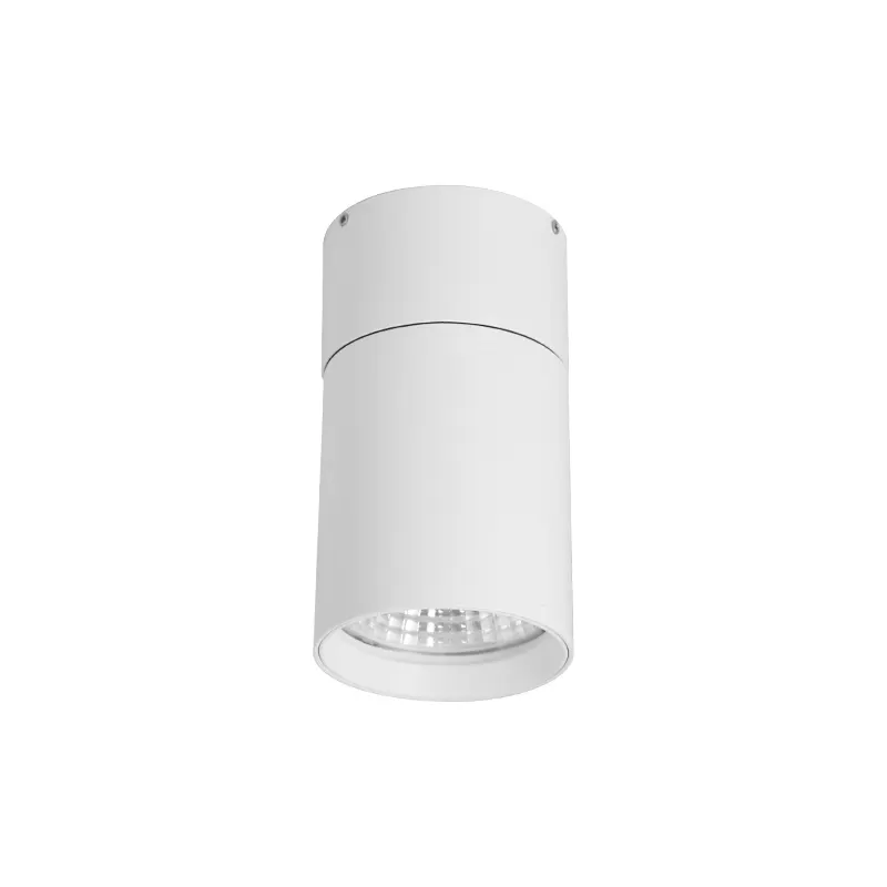 Adjustable Dimmable Surface-Mounted LED Downlight 15/25W