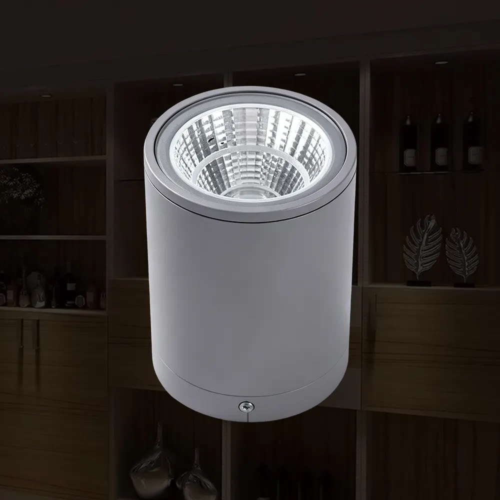 Surface-Mounted Round Aluminum LED Downlight Housing, No Cutout