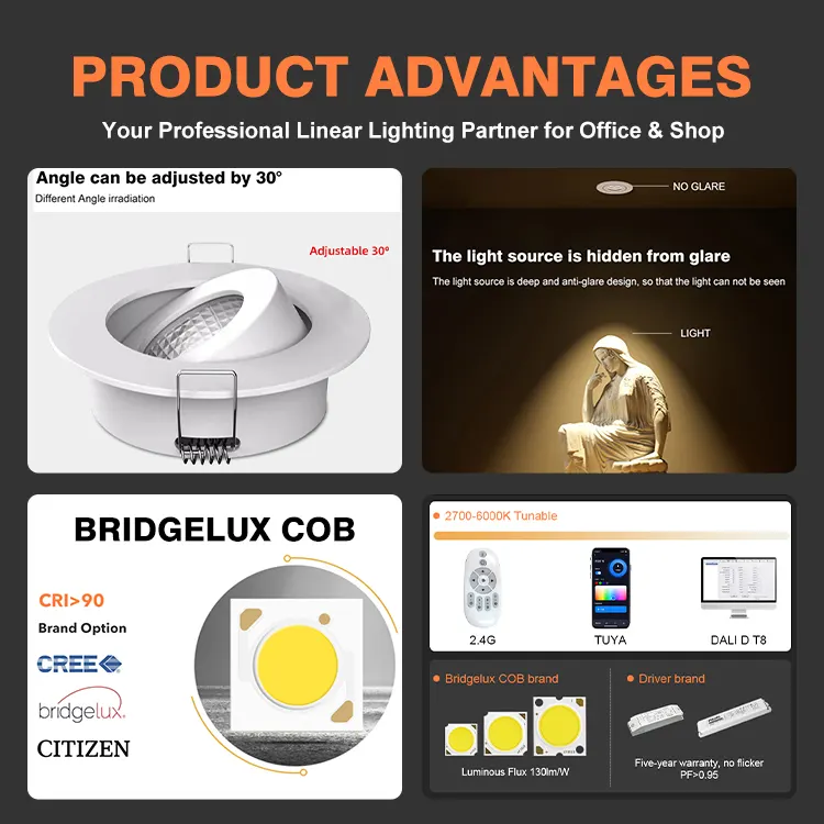 Adjustable Recessed Aluminum COB LED Downlight product sample