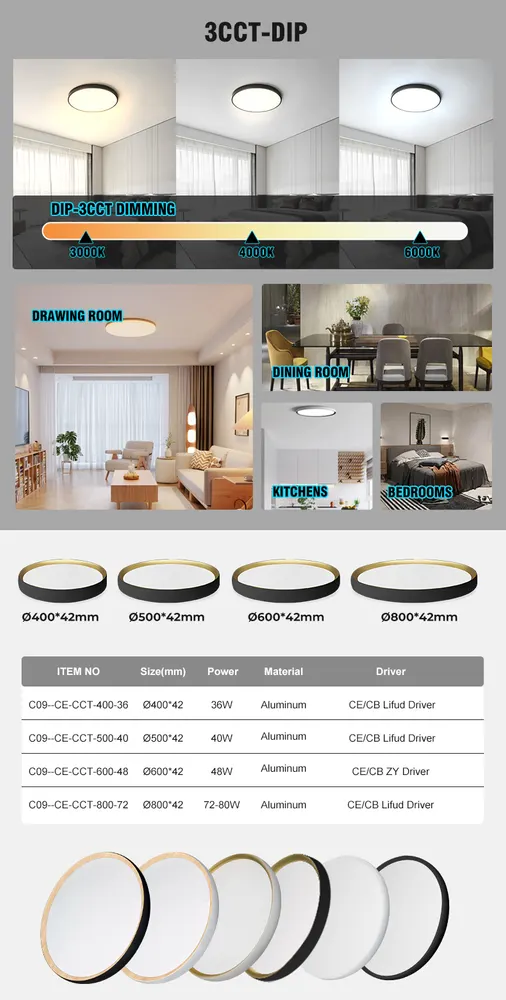 Dimmable LED Ceiling Light 40W 220V IP66 3CCT Selectable