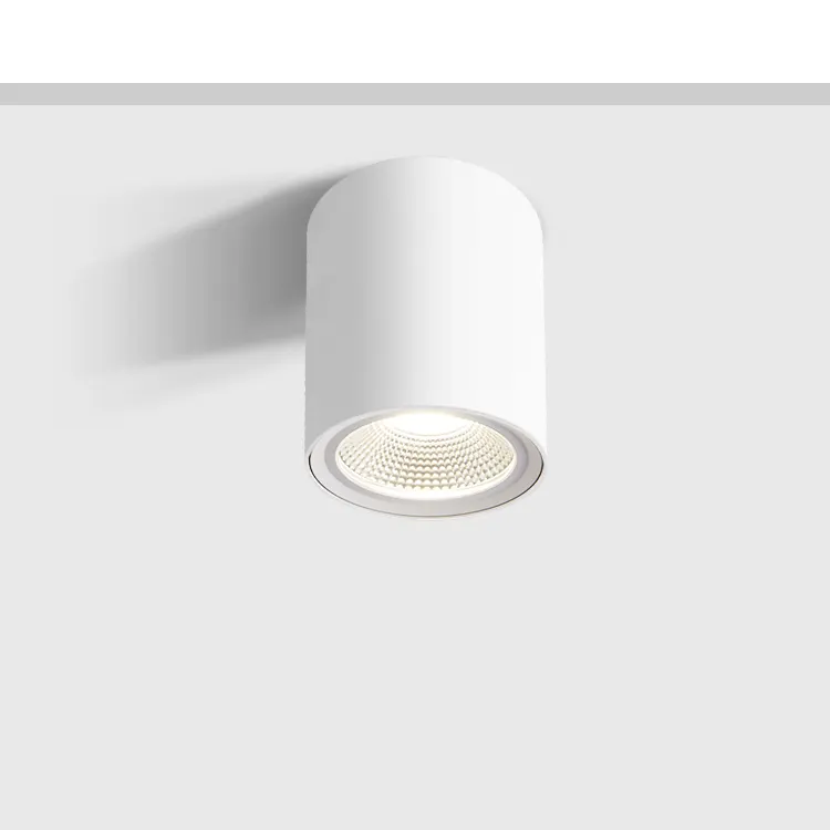 Surface-Mounted Aluminum LED Downlight 15-50W IP65