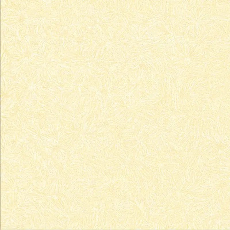 Glossy Porcelain Outdoor Tile 600x600mm