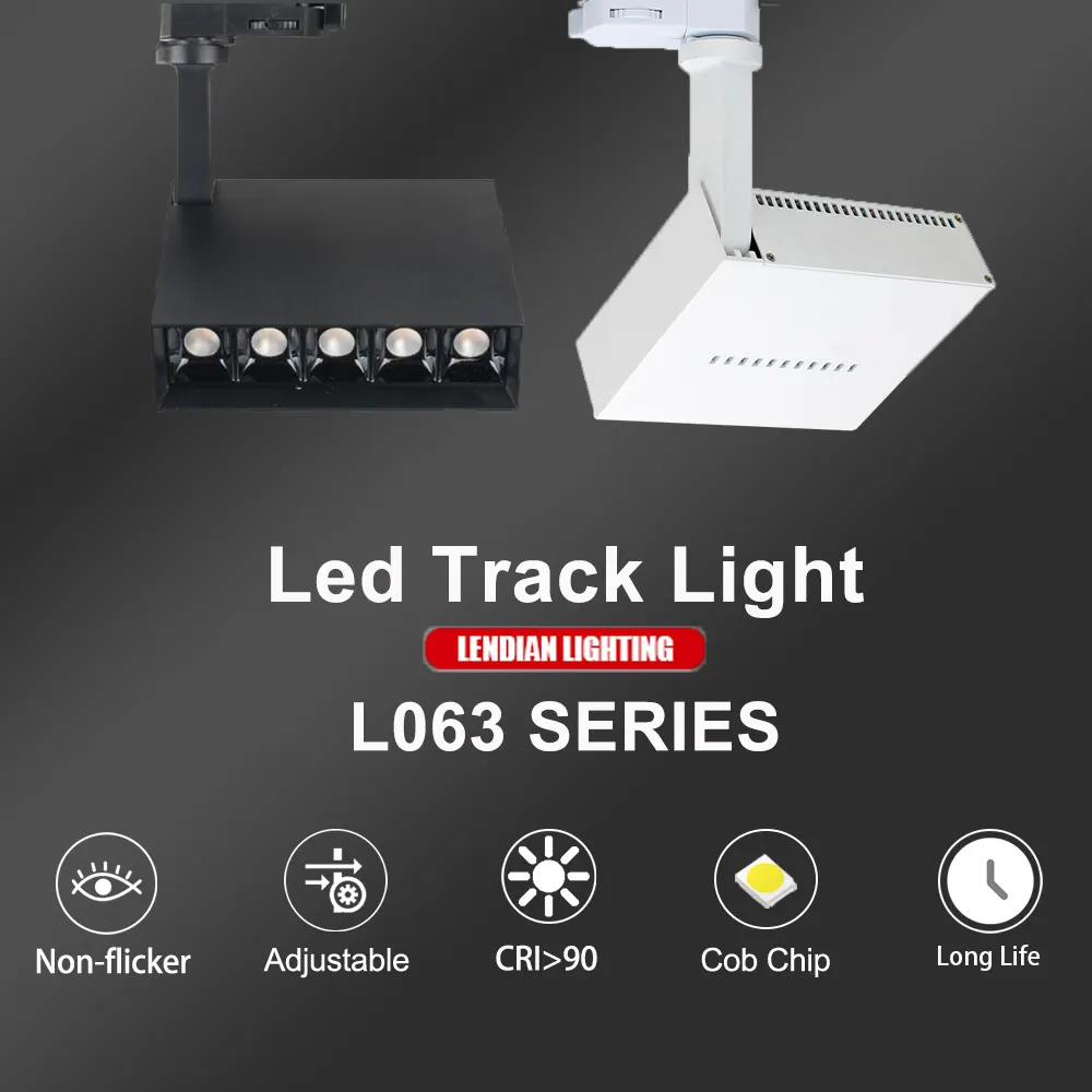 Anti-Glare Adjustable Zoomable Dimmable LED Track Spotlight White 6-40W 220V