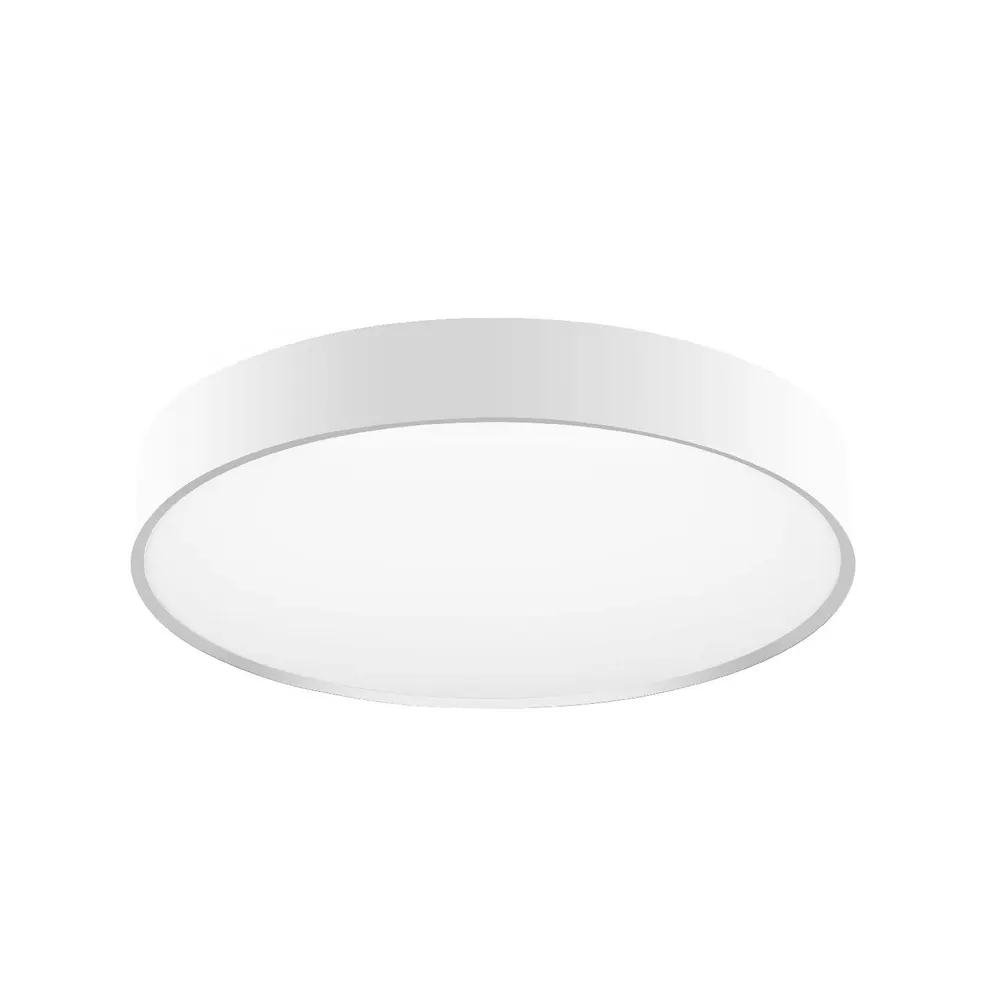 Surface-Mounted Aluminum LED Ceiling Light 24-100W