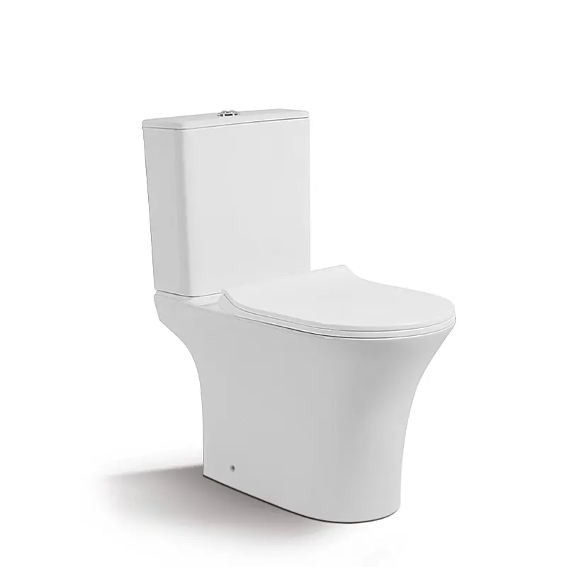 One-Piece Ceramic Toilet For Bathroom Installation
