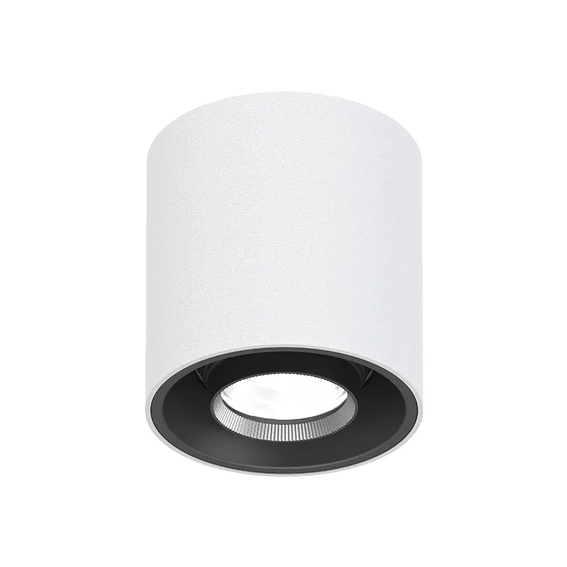 Adjustable Surface-Mounted Aluminum LED Downlight 8-20W IP65