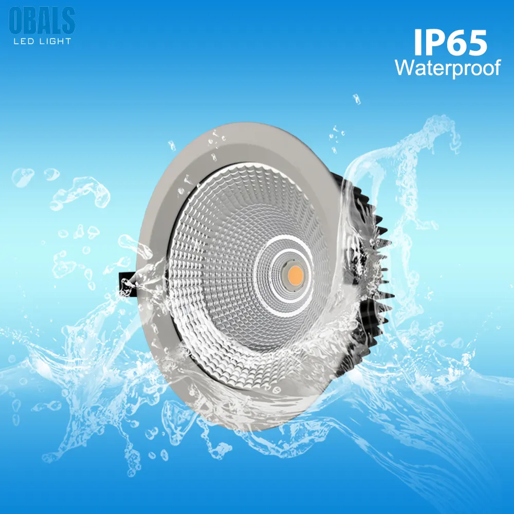 Recessed Round Aluminum LED Downlight 12-48W IP65