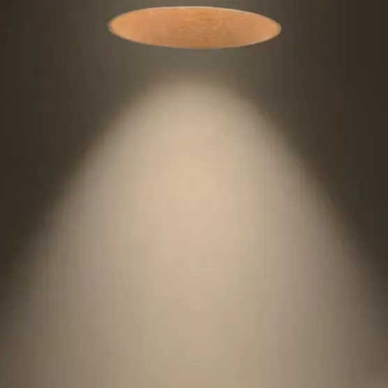 Adjustable Trimless Dimmable Recessed LED Downlight 7/18W 3000K