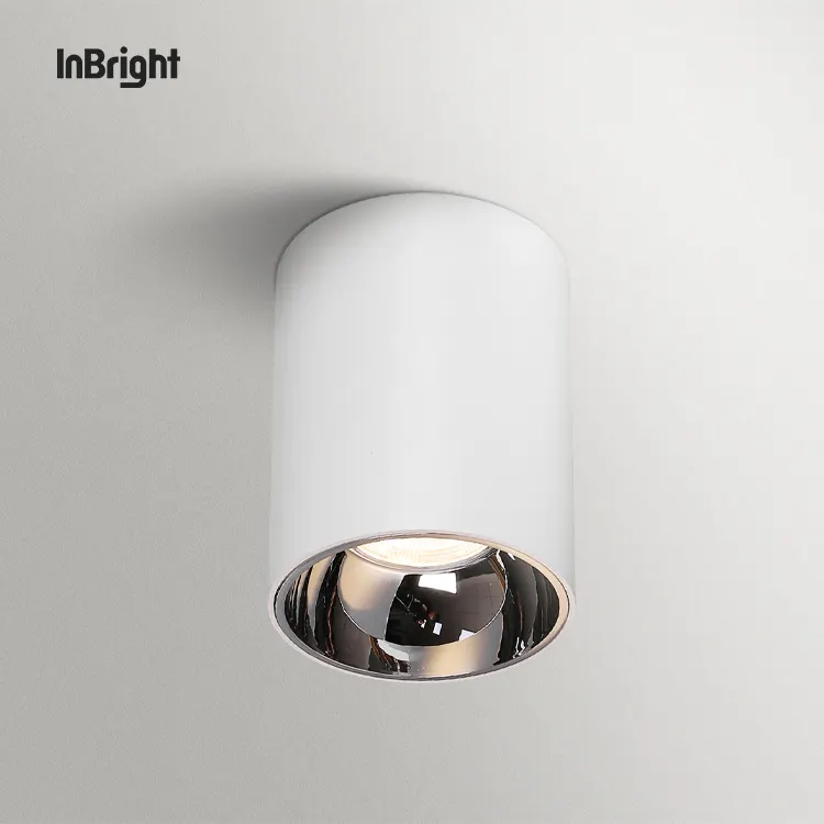 Dimmable Surface-Mounted Aluminum LED Downlight 10-50W IP65