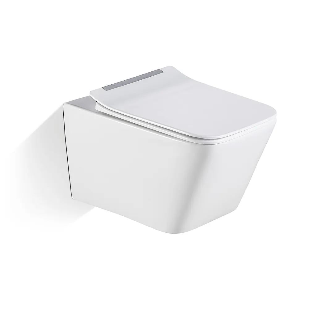 Two-Piece Dual-Flush Ceramic Toilet