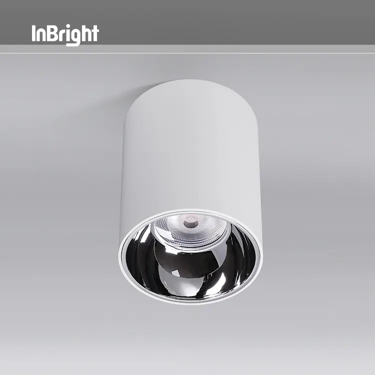 Dimmable Surface-Mounted Aluminum LED Downlight 10-50W IP65