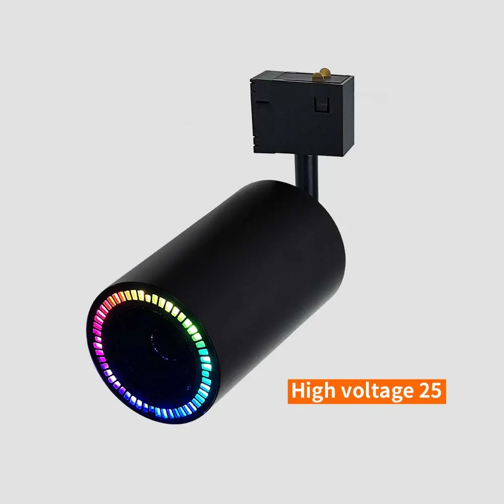 Smart Dimmable Aluminum Magnetic LED Track Spotlight With Bluetooth Speaker product sample