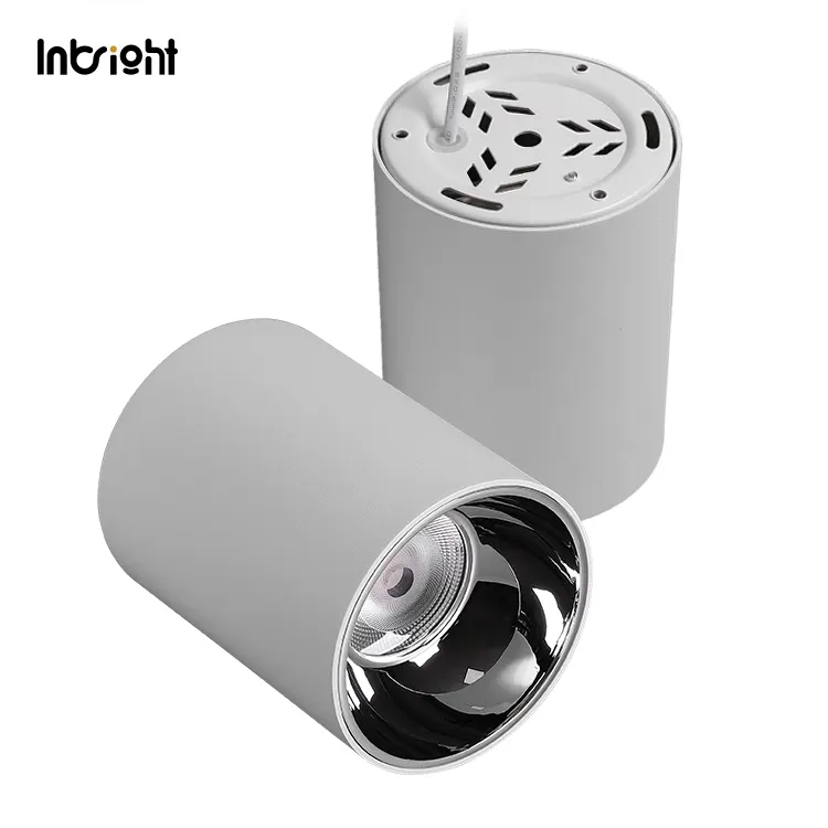 Dimmable Surface-Mounted Aluminum COB LED Downlight 10-50W IP65