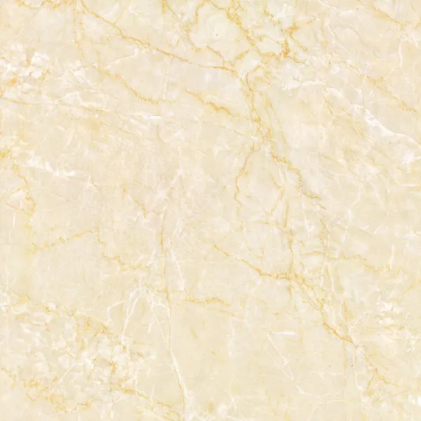 Marble-Look Black Matte Porcelain Floor Tile 600x600mm