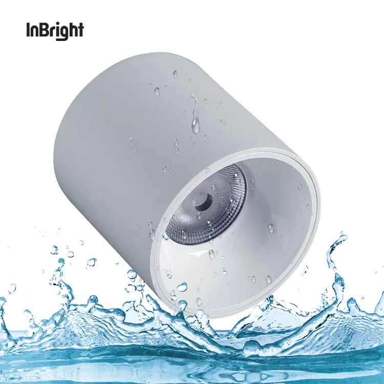Waterproof COB LED Downlight 10-50W IP65