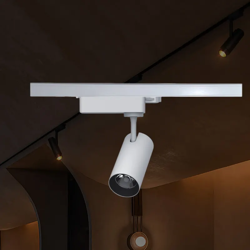 Rotatable Aluminum COB LED Track Spotlight 2/32W