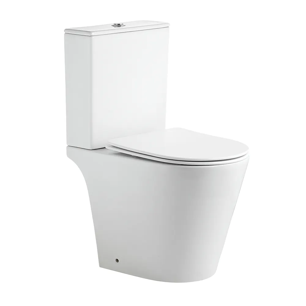 Dual-Flush Two-Piece Ceramic Toilet