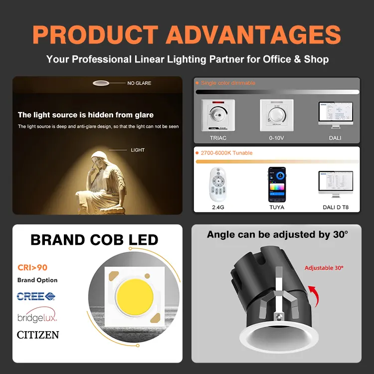Adjustable Recessed Aluminum COB LED Downlight 7-30W product sample