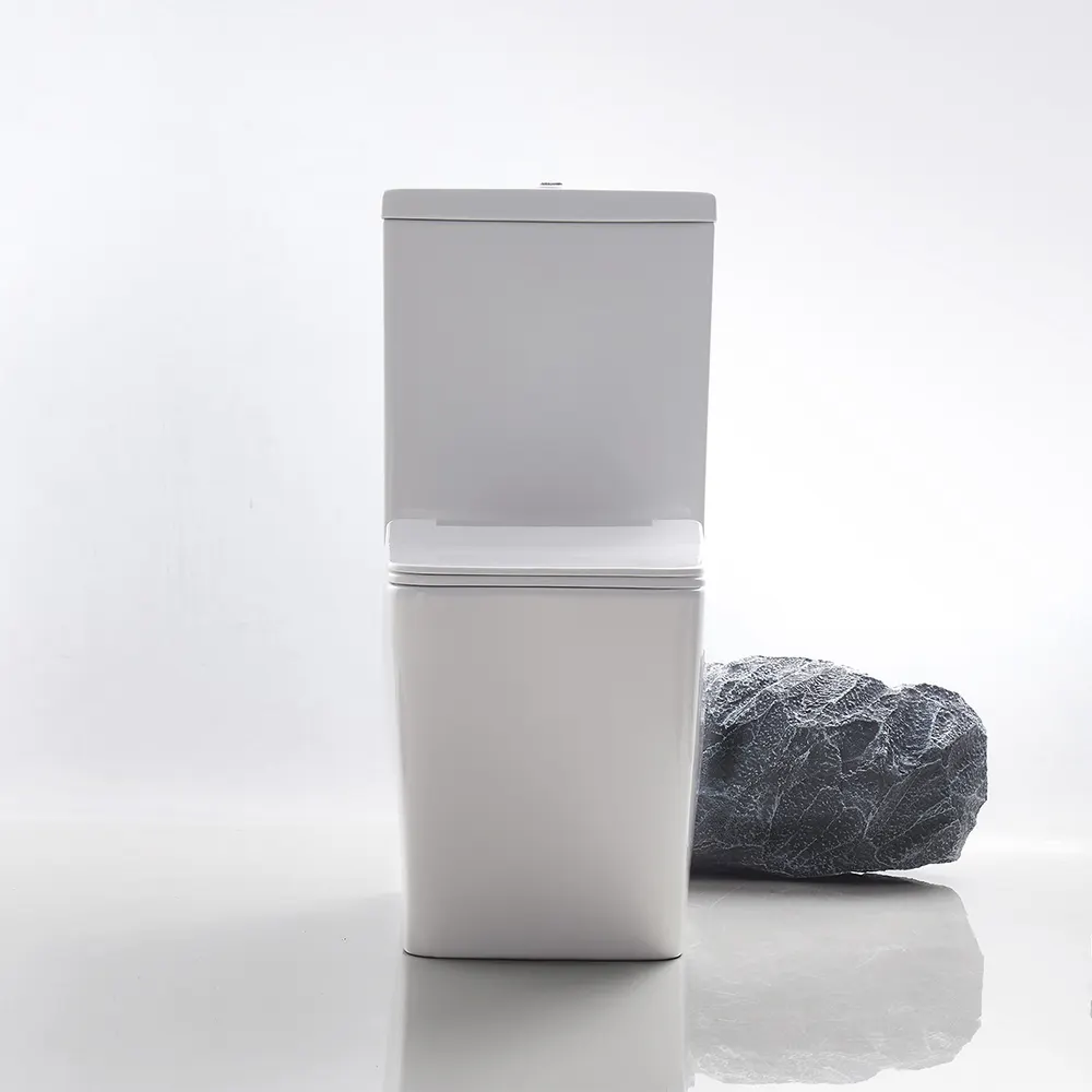 Two-Piece Dual-Flush Ceramic Toilet