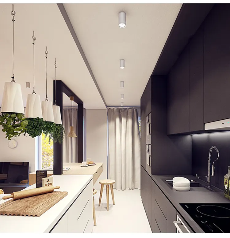 Adjustable Surface-Mounted Round COB LED Downlight Black/White 7-40W