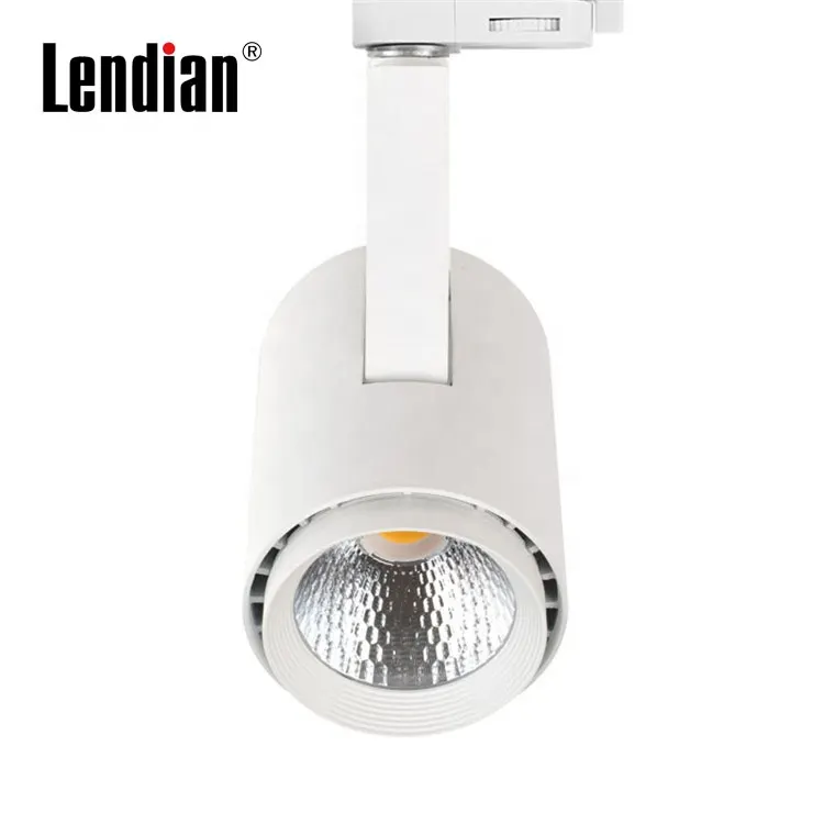 Adjustable Smart Dimmable LED Track Spotlight 8-40W 220V