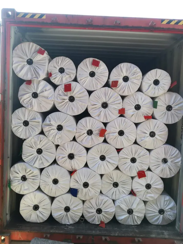 Polyester Carpet Roll With Latex Backing