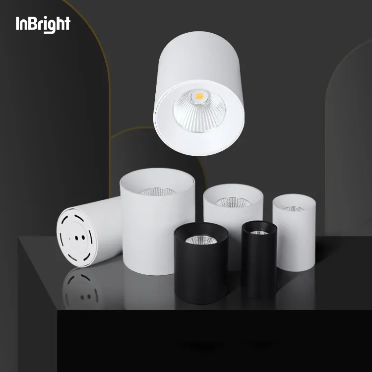 Anti-Glare Dimmable DALI Surface-Mounted COB LED Downlight Black/White 10-60W