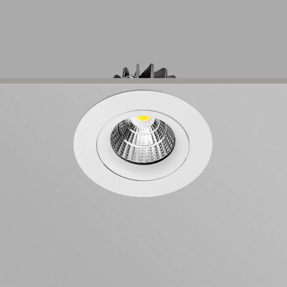 Anti-Glare Adjustable Dimmable Recessed LED Downlight 5-30W 1-10V IP50