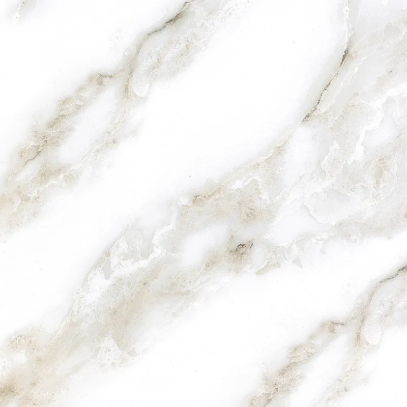 Glazed Porcelain Floor Tile 800x800mm
