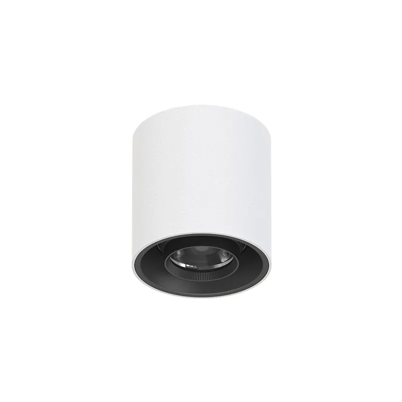 Rotatable Surface-Mounted Aluminum COB LED Downlight 8W