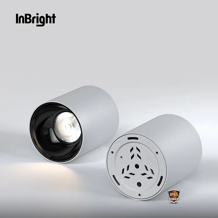 Waterproof COB LED Downlight 10-50W IP65