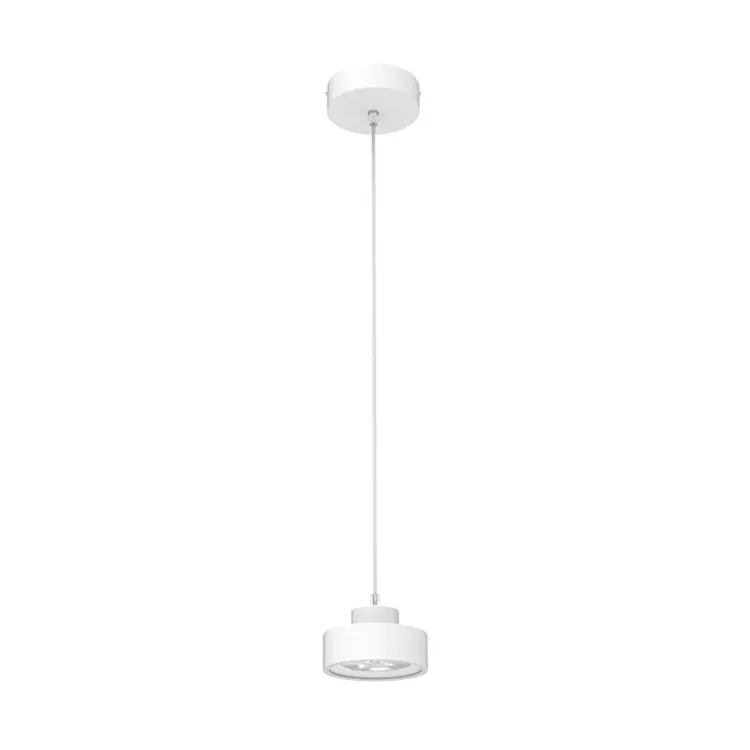 Aluminum LED Pendant Light 10-25W