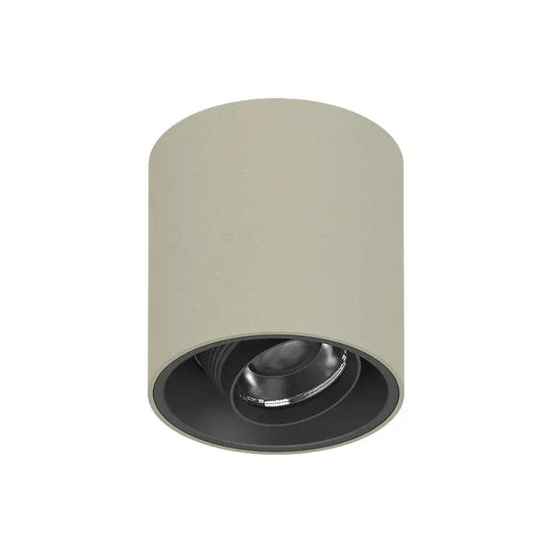 Adjustable Surface-Mounted Aluminum LED Downlight 8-20W IP65