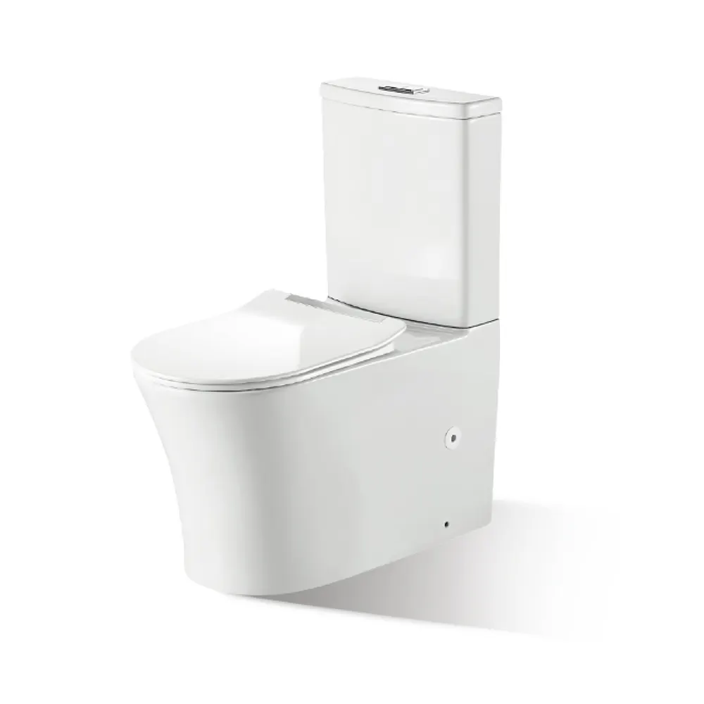 Dual-Flush Two-Piece Ceramic Toilet