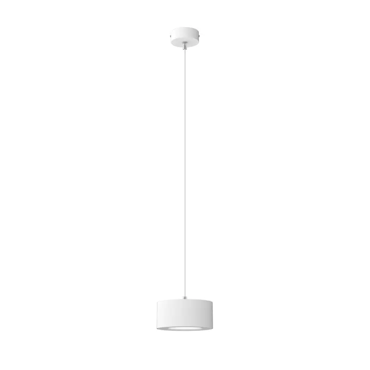 Aluminum LED Pendant Light 10-30W
