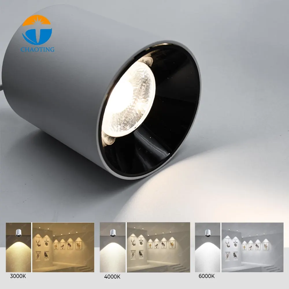 Surface-Mounted Aluminum COB LED Downlight 10-30W