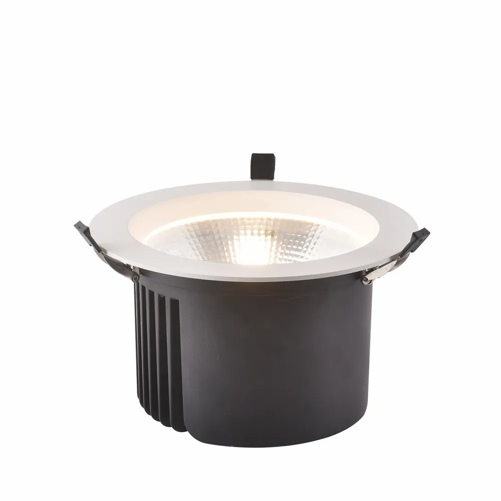 Smart Aluminum LED Downlight 60/80W 9in