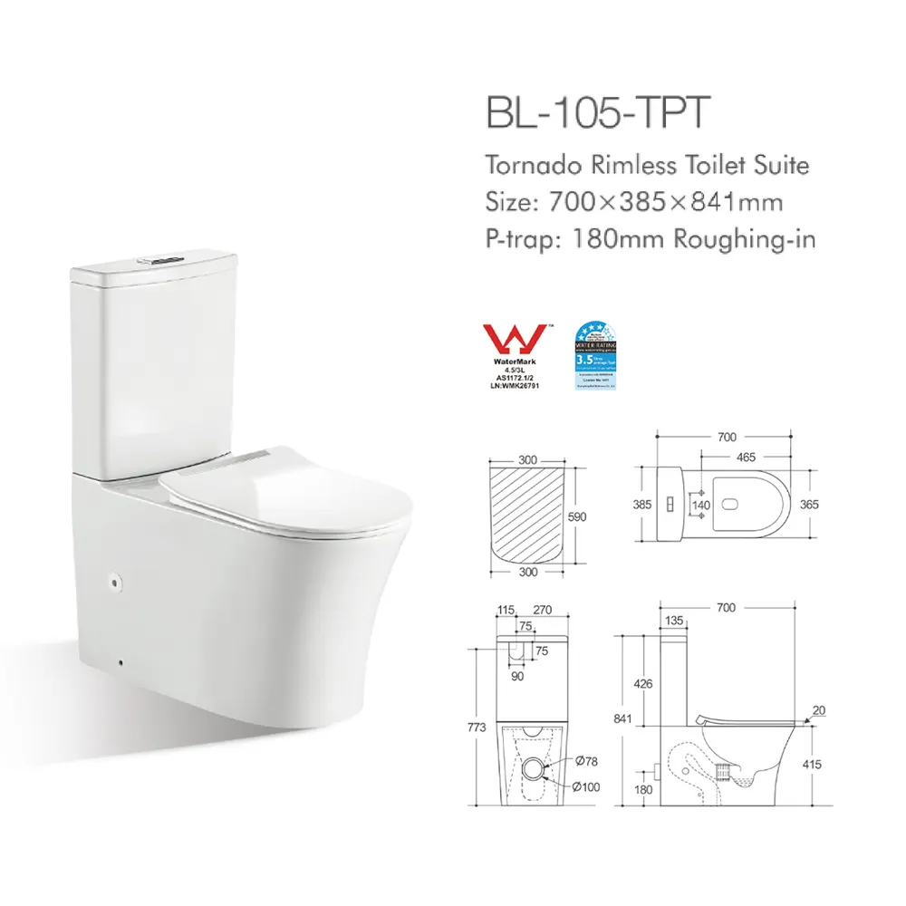 Dual-Flush Two-Piece Ceramic Toilet
