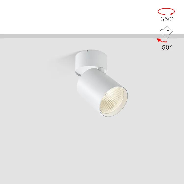 Adjustable Dimmable Surface-Mounted LED Downlight 15/25W