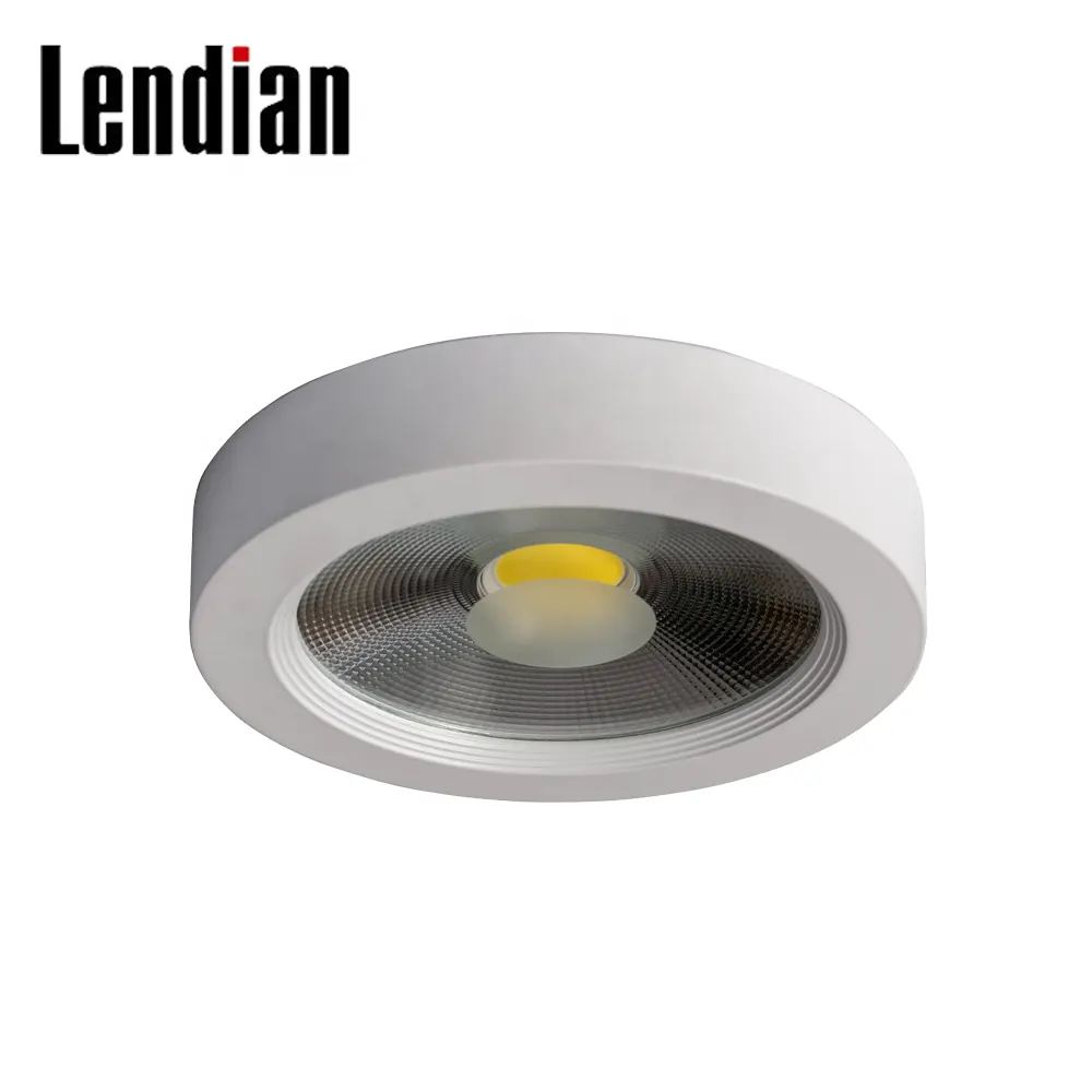 Surface-Mounted Round Aluminum COB LED Downlight 8-45W IP65