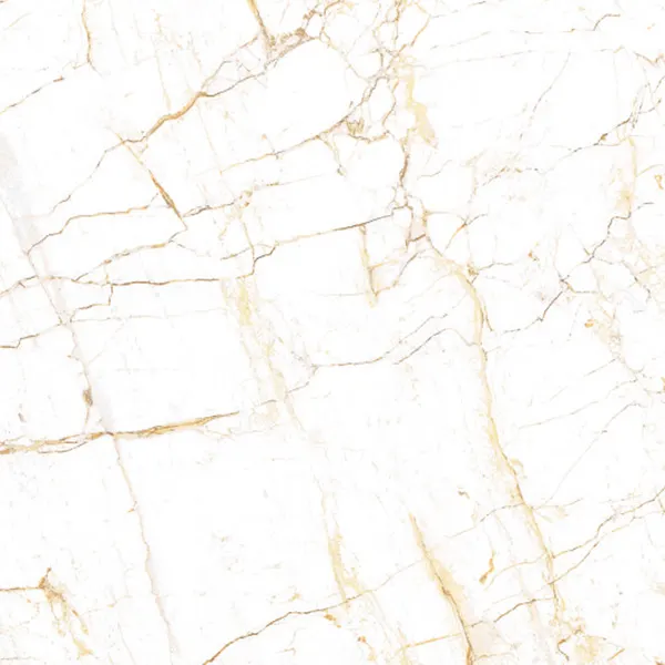Marble-Look Black Matte Porcelain Floor Tile 600x600mm