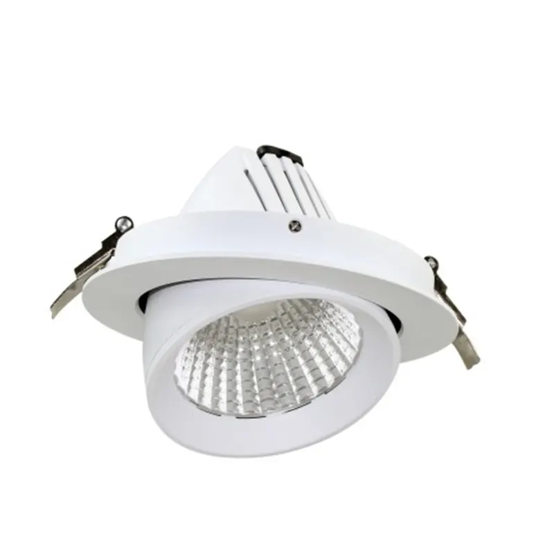 Rotatable Recessed Aluminum LED Downlight