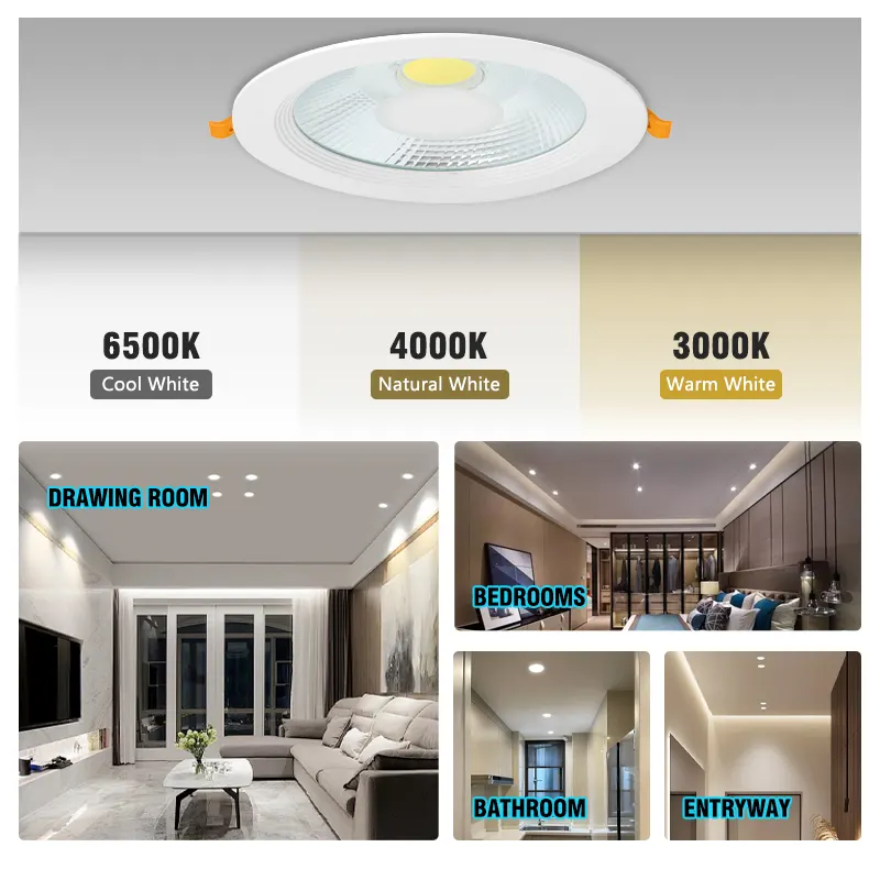 Recessed Round Aluminum LED Downlight 9-30W 6500K