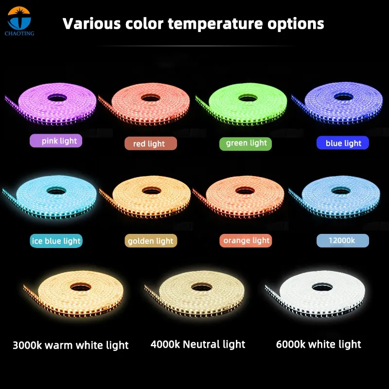 LED Strip Light 110V/220V 2835