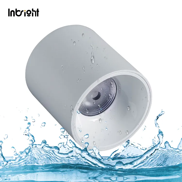 Surface-Mounted Aluminum LED Downlight 10-50W IP65