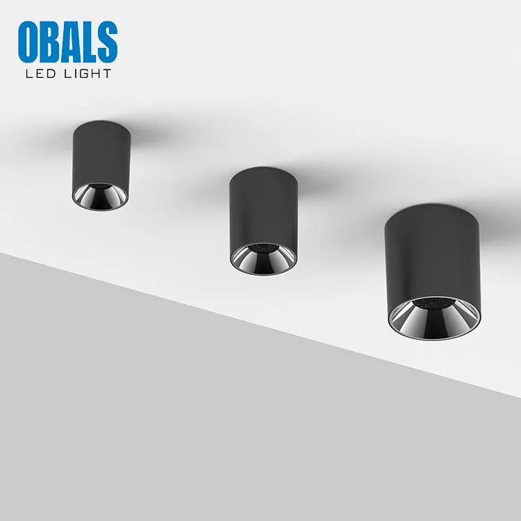 Anti-Glare Surface-Mounted Aluminum LED Downlight 10-30W 6000K
