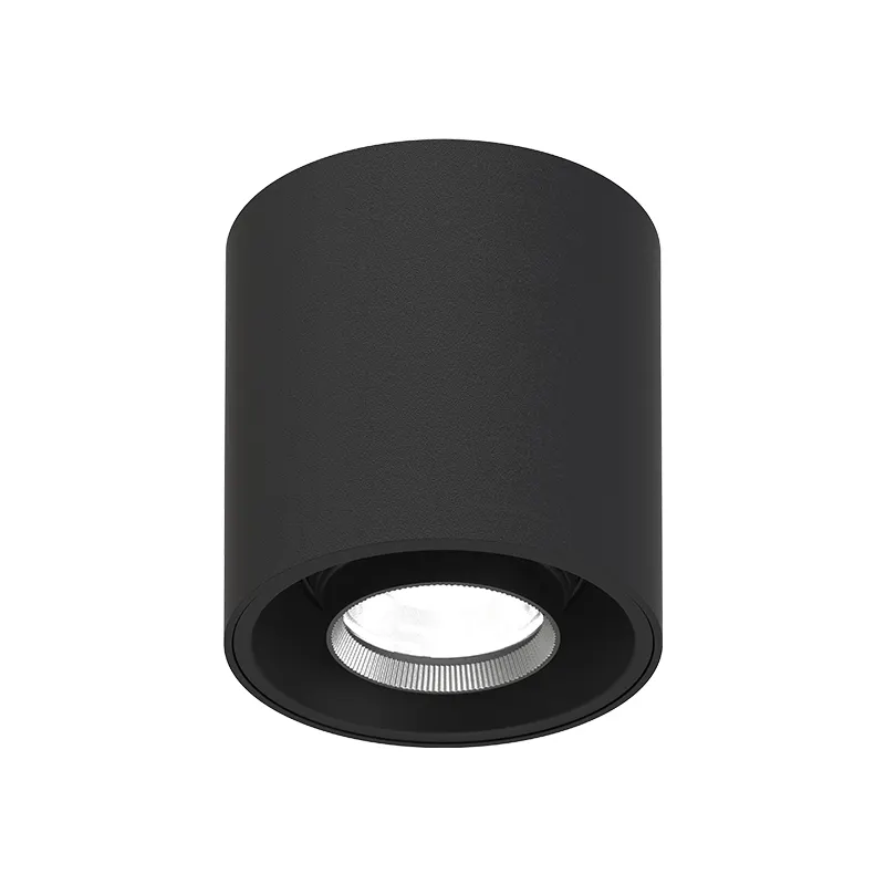 Adjustable Surface-Mounted Aluminum LED Downlight 8-20W IP65