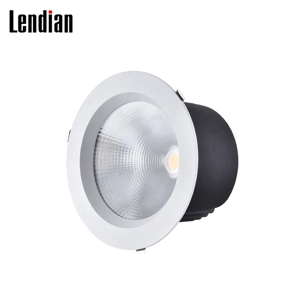 Smart Aluminum LED Downlight 60/80W 9in