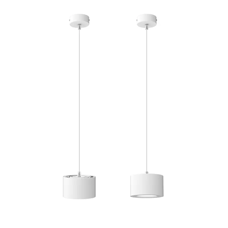 Aluminum LED Pendant Light 10-30W
